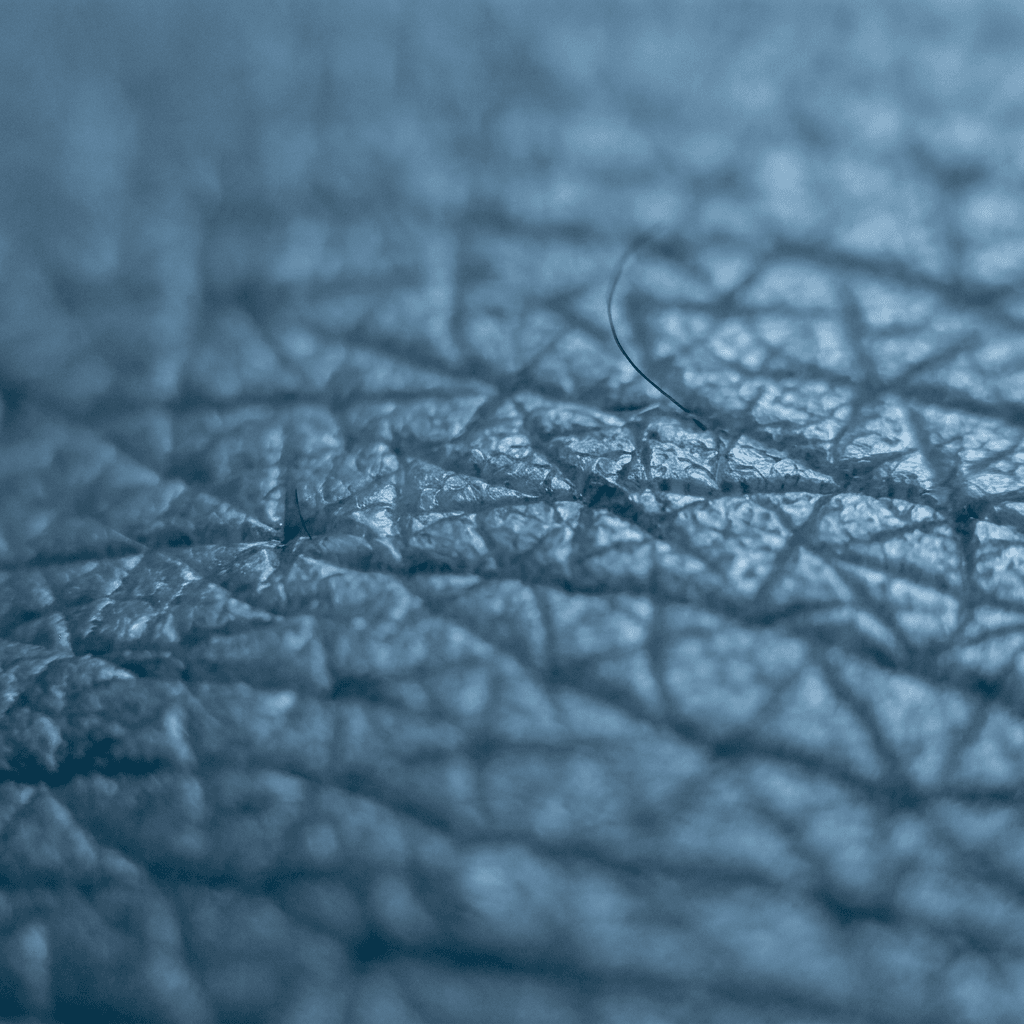 Simulated cross-polarised view